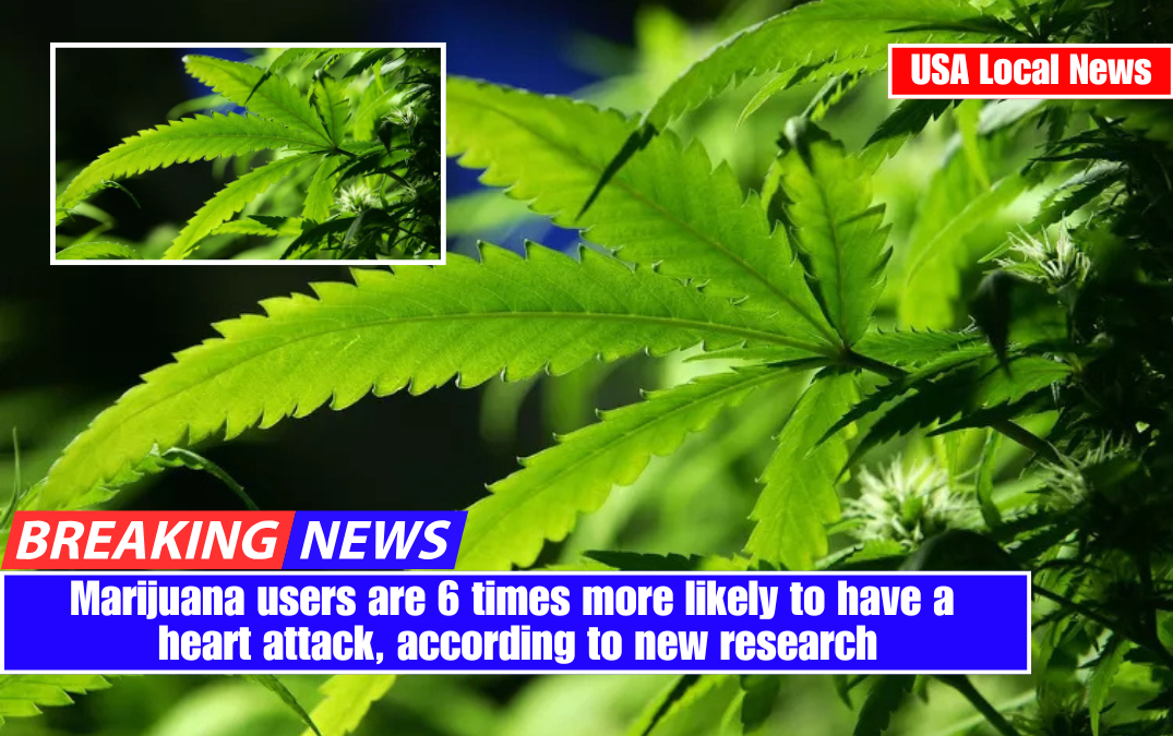 Marijuana users are 6 times more likely to have a heart attack, according to new research