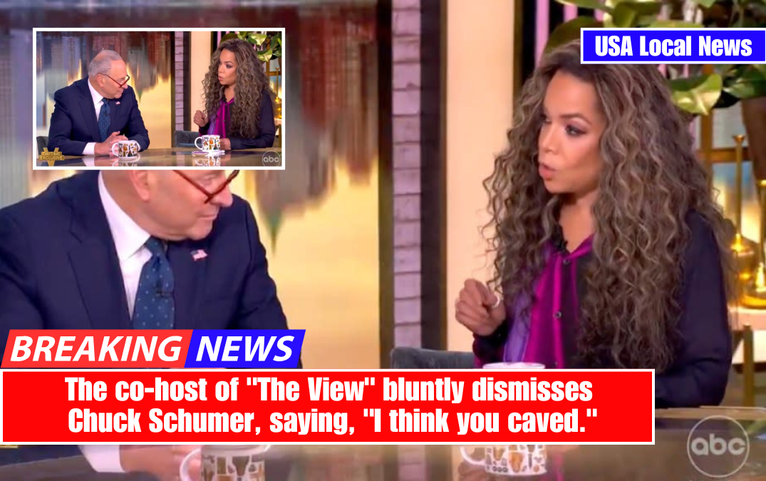 The co-host of "The View" bluntly dismisses Chuck Schumer, saying, "I think you caved."