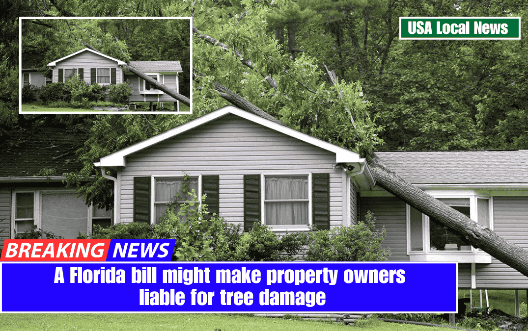 A Florida bill might make property owners liable for tree damage