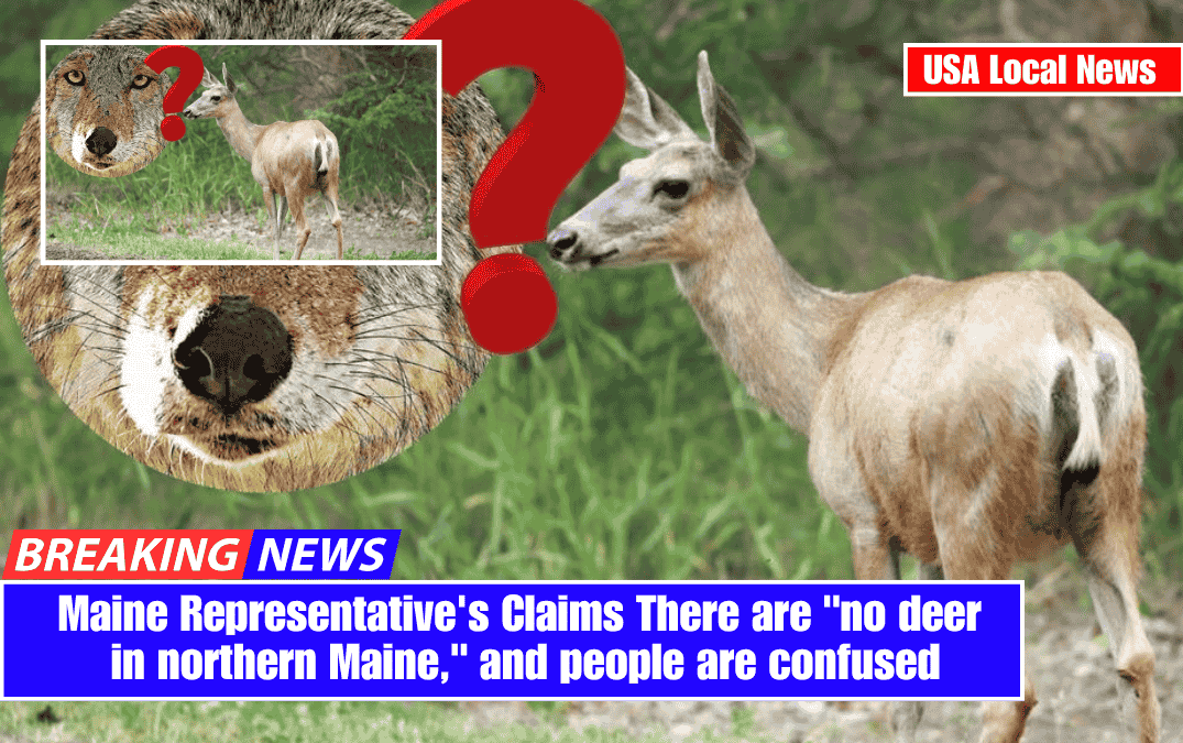 Maine Representative's Claims There are "no deer in northern Maine," and people are confused